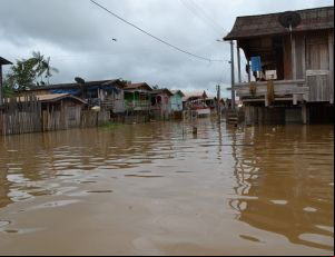 cheia no Amazonas (Divulgação/Defesa Civil do Amazonas)