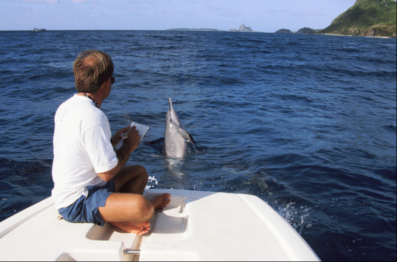 Divulgação/ Projeto Golfinho Rotador